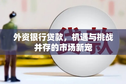 睢阳外资银行贷款，机遇与挑战并存的市场新宠