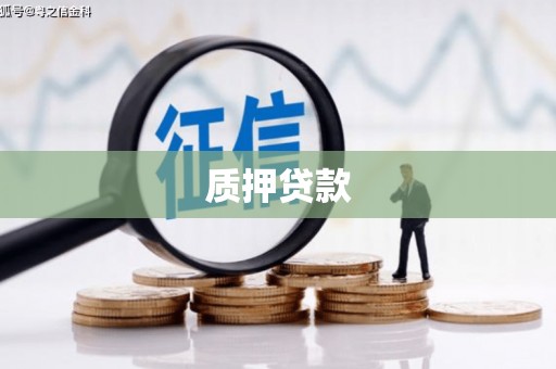 睢阳质押贷款