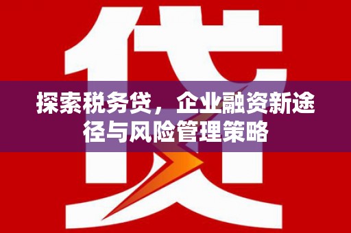 睢阳探索税务贷，企业融资新途径与风险管理策略