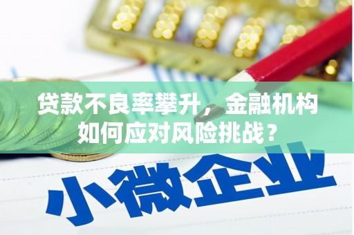 睢阳贷款不良率攀升，金融机构如何应对风险挑战？
