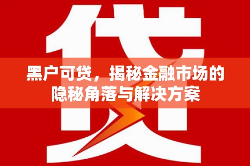 睢阳黑户可贷，揭秘金融市场的隐秘角落与解决方案