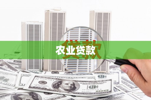 睢阳农业贷款