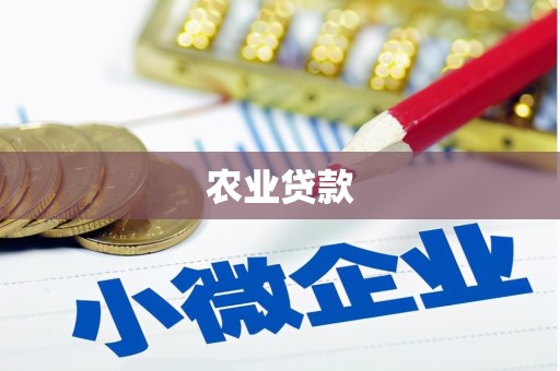 睢阳农业贷款
