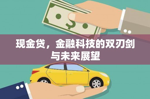 睢阳现金贷，金融科技的双刃剑与未来展望