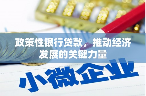 睢阳政策性银行贷款，推动经济发展的关键力量