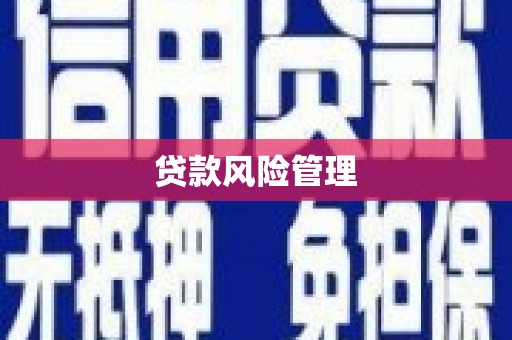 睢阳贷款风险管理