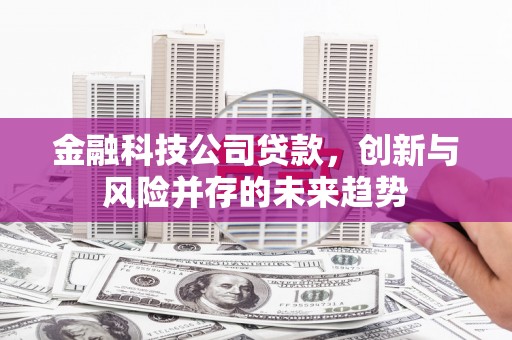 睢阳金融科技公司贷款，创新与风险并存的未来趋势