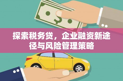 睢阳探索税务贷，企业融资新途径与风险管理策略