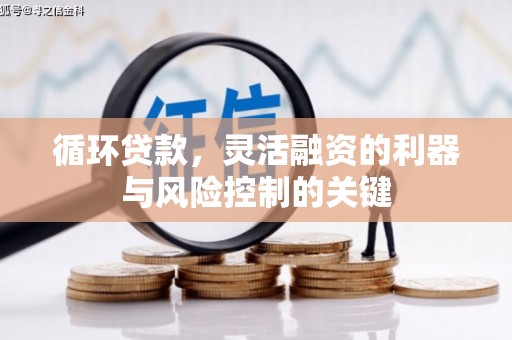 睢阳循环贷款，灵活融资的利器与风险控制的关键