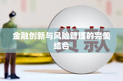 睢阳金融创新与风险管理的完美结合