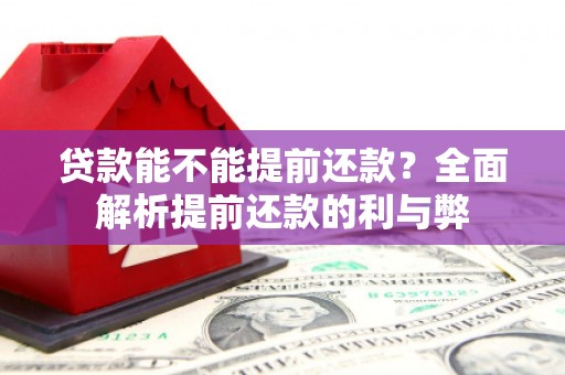 睢阳贷款能不能提前还款？全面解析提前还款的利与弊