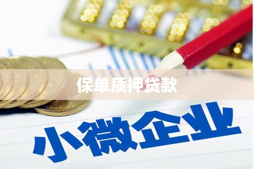 睢阳保单质押贷款