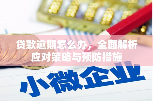 睢阳贷款逾期怎么办，全面解析应对策略与预防措施