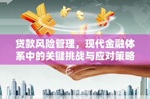 睢阳贷款风险管理，现代金融体系中的关键挑战与应对策略
