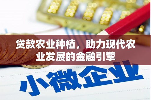 睢阳贷款农业种植，助力现代农业发展的金融引擎