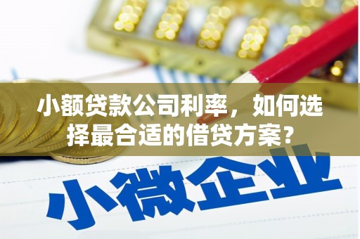 睢阳小额贷款公司利率，如何选择最合适的借贷方案？