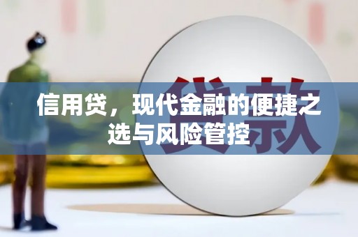 睢阳信用贷，现代金融的便捷之选与风险管控