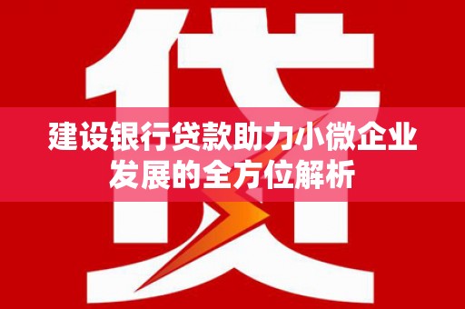 睢阳建设银行贷款助力小微企业发展的全方位解析