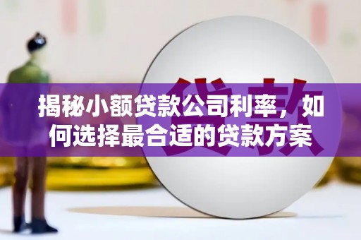 睢阳揭秘小额贷款公司利率，如何选择最合适的贷款方案