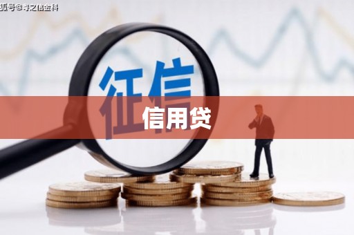 睢阳信用贷