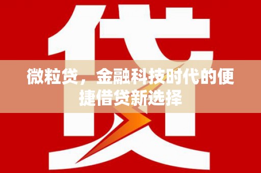 睢阳微粒贷，金融科技时代的便捷借贷新选择