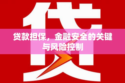 睢阳贷款担保，金融安全的关键与风险控制