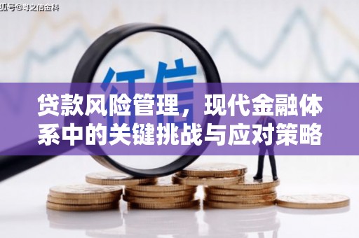 睢阳贷款风险管理，现代金融体系中的关键挑战与应对策略