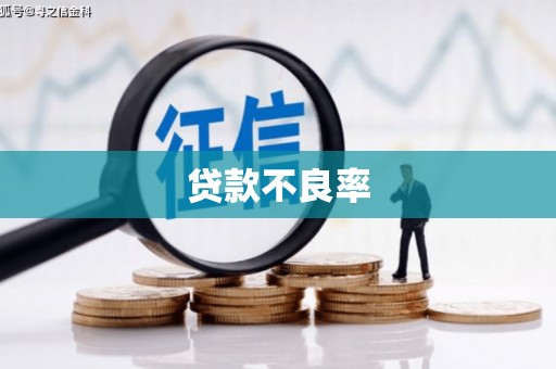 睢阳贷款不良率