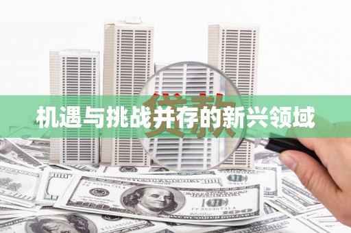 睢阳机遇与挑战并存的新兴领域