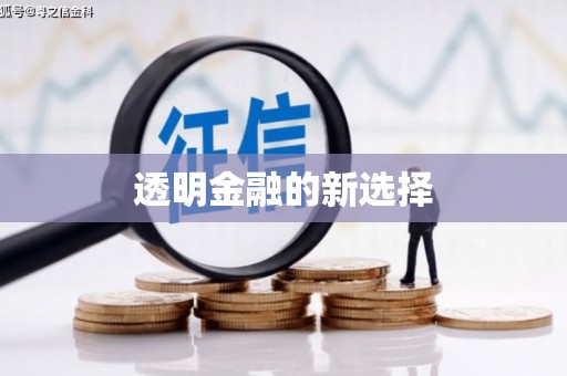 睢阳透明金融的新选择
