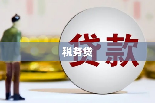 睢阳税务贷