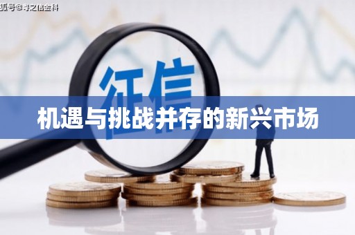 睢阳机遇与挑战并存的新兴市场